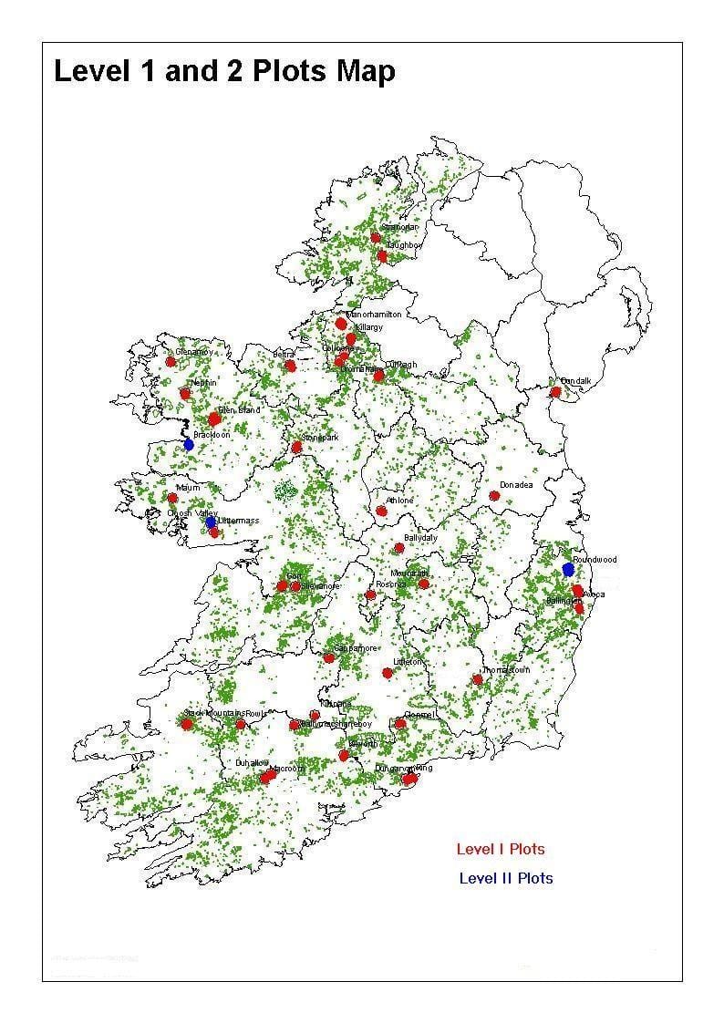 harta e irlandës pyjet